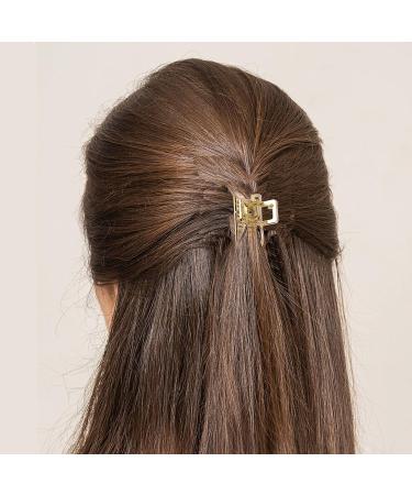 8 Pack Small Metal Hair Claw Clips Hollow Jaw Barrettes Non-slip Open Shaped Jaw Clamp for Women Half Bun Hairpins for Half Updo (Rose Gold+Gold+Silver+Black) - Buy Online on GoSupps.com
