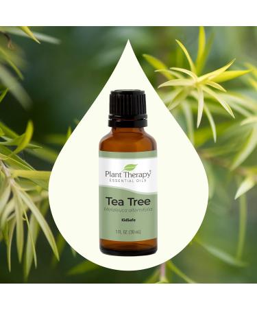 Buy Plant Therapy Tea Tree Essential Oil 100% Pure | Natural Aromatherapy | Therapeutic Grade 30 mL - Fast International Shipping - Buy Online on GoSupps.com