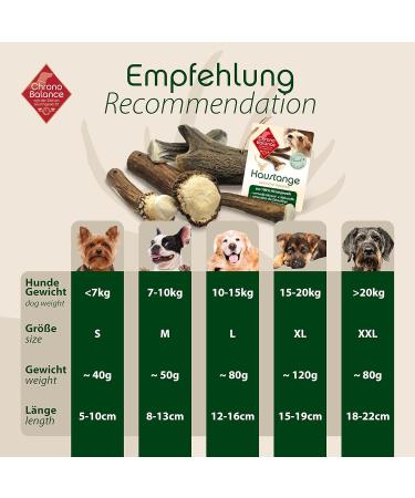 Chronobalance M Dental Care Causbie for Dogs - 2 Halved 100% Deer Antler Chewing Bones | Sustainable Dog Toys for Dental Hygiene - Buy Online on GoSupps.com