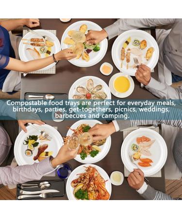 Heavy Duty Disposable Plates Compostable Paper Plates 100-Pack 9 Inch Plates - Eco-Friendly Biodegradable Sugarcane Bagasse Heavy Duty Paper Plates White Paper Plates for Party - Buy Online on GoSupps.com
