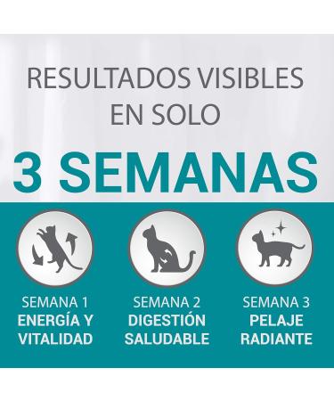 Purina ONE bifensis esterilizados Chicken and wheat 6 x 1.5 kg - Buy Online on GoSupps.com