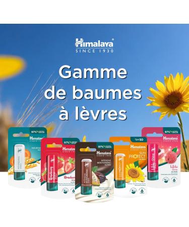 Himalaya Sun Protect Lip Balm with SPF 50 and UVA Protection Protects Your Lips from Sun Damage 4.5g - Buy Online on GoSupps.com