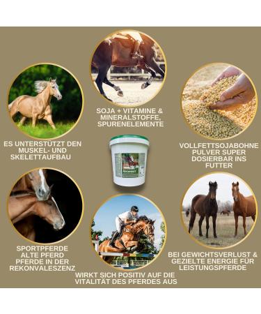 Soybean meal horse I Dietary supplement for musculature skeleton vitality I Amino acids horses Muscle muscle Soy protein I Vitamin BE complex Zinc Biotin Selenium horse 6 kg - Buy Online on GoSupps.com