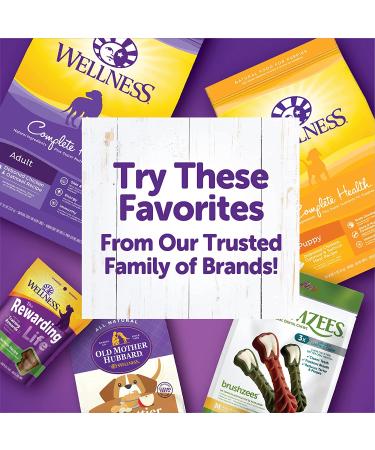 Wellness WellBites Grain-Free Soft Dog Treats - Lamb & Salmon, 6oz Bag - Buy Online on GoSupps.com