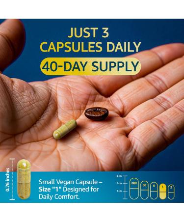 Organic Lions Mane Supplement Capsules - 240 Real Mushrooms Lion's Mane Capsules with Ginkgo Biloba Herb Bacopa Monnieri L Theanine L Tyrosine - Mushroom Complex for Daily Wellness 120 Count (Pack of 2) - Buy Online on GoSupps.com