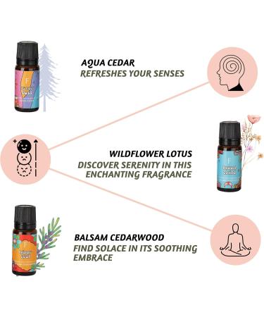 Shop Folkulture Essential Oil Set - Patchouli & Cedarwood Diffuser Oils | 6 Scents for Home Fragrance | Aromatherapy Oil Set 0.06 Fl Oz - Buy Online on GoSupps.com