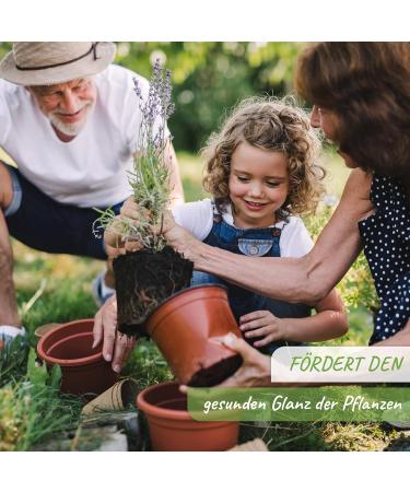 Neem Oil for Healthy Plants - 250ml Mixed Vegetable Oil with Emulsifier | Reading Nature Products - Buy Online on GoSupps.com