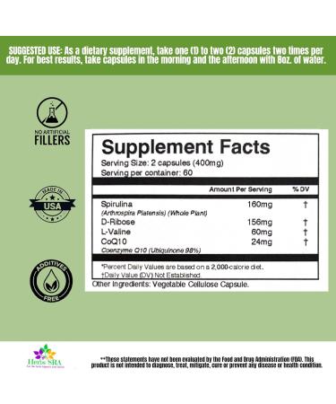 Energy Plus Superfood Capsules - Natural Energy Boost 120 Count | Boost Your Vitality - Buy Online on GoSupps.com
