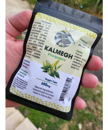 Prorganics Andrographis paniculata Kalmegh (30 Capsules) 100 Count (Pack of 1)