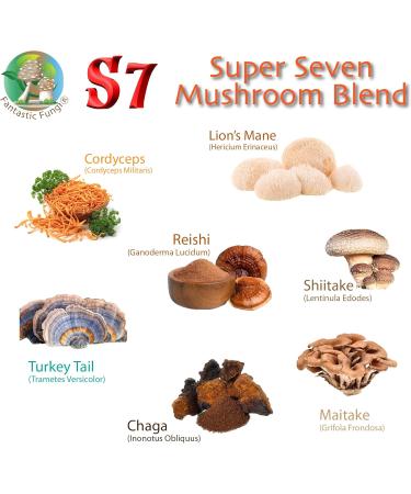 Super 7 mushroom extract powder - Fantastic Fungi -250 grams-Lion's Mane Reishi Turkey Tail Cordyceps Shiitake Chaga and Maitake - Value Pack (250 Grams) 250 g (Pack of 1) - Buy Online on GoSupps.com