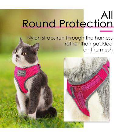 Thinkpet No-Pull Dog Harness Leash Set - Breathable Adjustable Safety Harness for Small Medium & Large Dogs - Perfect for Running - Pink Red - Buy Online on GoSupps.com