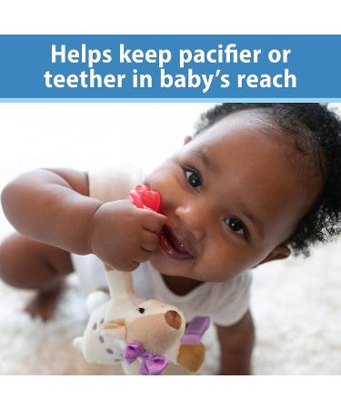 Dr. Brown's Baby Lovey Pacifier & Teether Holder  Triceratops with Grey HappyPaci  100% Silicone  0-12m - Buy Online on GoSupps.com