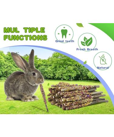ABIZOO 18-Piece Rabbit Chew Toy Set | Natural Apple Sticks & Dental Care for Rabbits Hamsters & Guinea Pigs - Buy Online on GoSupps.com