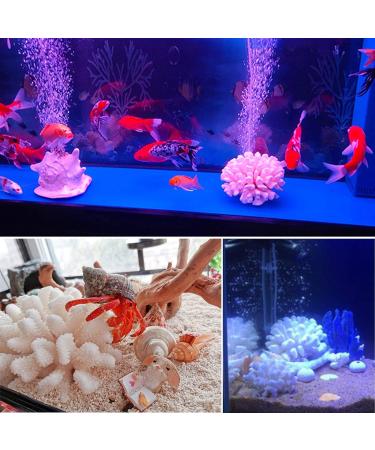 Buy Besimplle 2-Piece Artificial Coral Ornaments - Aquarium Resin Coral Decor & Underwater Sea Plants for Stunning Decor - Buy Online on GoSupps.com