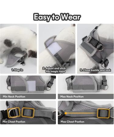 Adjustable Cat Dishes with Leash - Soft Lining Breathable Mesh & Reflective Outdoor Training Set XS (Gray) | International Shipping Available - Buy Online on GoSupps.com