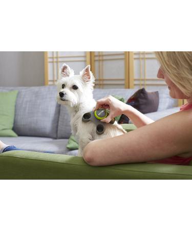 PetWell Handheld Massager for Calming Anxiety in Dogs & Cats - Buy Online on GoSupps.com