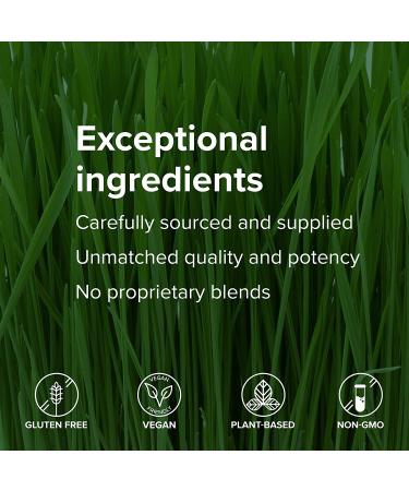 Vibrant Health Maximum Vibrance 2.0 Chocolate Chunk â€“ 25.56 oz Nutritional Superfood - Buy Online on GoSupps.com