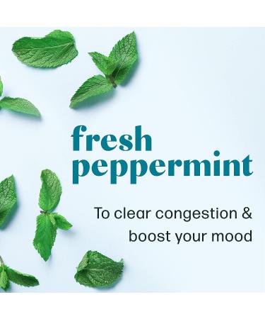 Dew Well Bath Crumble - Peppermint - Clear Congestion & Boost Mood - Customize Your Bath - Buy Online on GoSupps.com