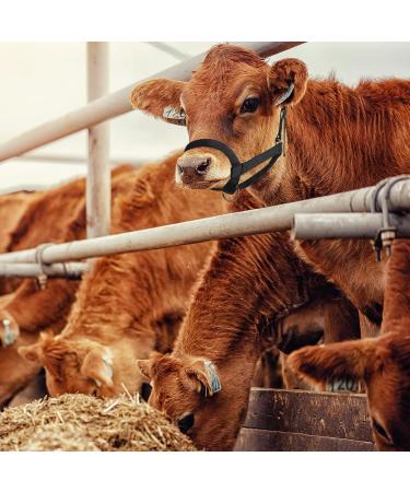 Nylon Livestock Cattle Keepers - Adjustable Chin & Throat Snap Holder for Horses Cows & Calves | Heiber Outdoors Training Accessories - Black - Buy Online on GoSupps.com