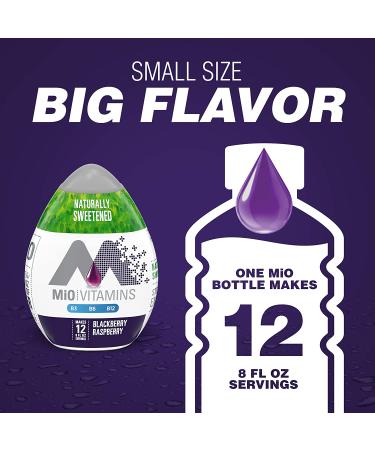 MiO Sugar-Free Blackberry Raspberry Water Enhancer 1.62 fl oz - Enhance Your Water Naturally - Buy Online on GoSupps.com