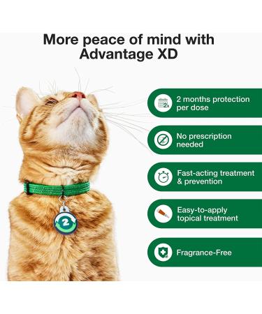 Advantage XD Flea Prevention for Small Cats (1.8-9 lbs) - Long-Lasting Treatment - 2 Pack - Buy Online on GoSupps.com