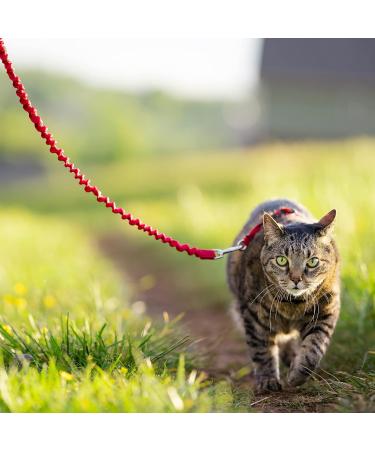 PetSafe Easy Walk Cat Harness - Size S Red | Elastic Bungee Leash for Comfortable Cat Walking | International Shipping Available - Buy Online on GoSupps.com