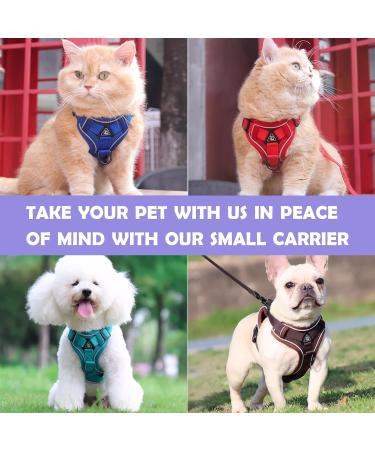 Shop Tikxlafe Adjustable Cat Dishes with 150cm Leash - Perfect for Kittens | Blue L Polyester Cat Linen Set - Buy Online on GoSupps.com