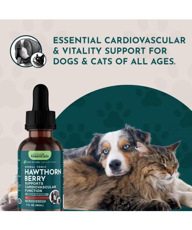 Animal Essentials Hawthorn Berry Supplement for Dogs & Cats - Heart Health Support Herbal Tincture for Pets Natural Liquid Extract for Circulation & Cardiovascular Support Organic Hawthorn- 1 fl oz - Buy Online on GoSupps.com
