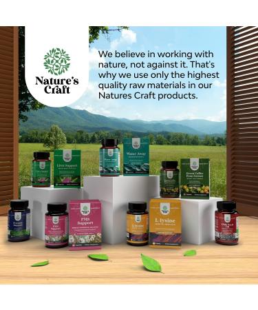 White Kidney Bean Energy Booster Capsules - Natural AMPK Activator & Antioxidant Supplement for Men and Women - Buy Online on GoSupps.com