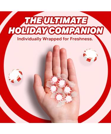 Starlight Peppermint Bulk Candy - 5 lbs (Approx. 400 Pieces) | Individually Wrapped Hard Mints for Christmas & Holiday Treats | Buy Bulk Peppermint Candy Online - Buy Online on GoSupps.com
