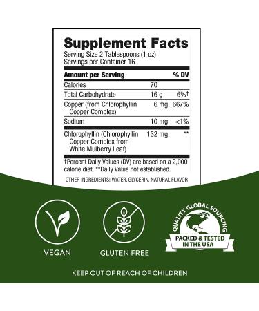 Nature's Way Chlorofresh Liquid Chlorophyll Concentrate 16 Fl. Oz - Mint Flavored | Internal Deodorant for Detoxification Pathways - Buy Online on GoSupps.com