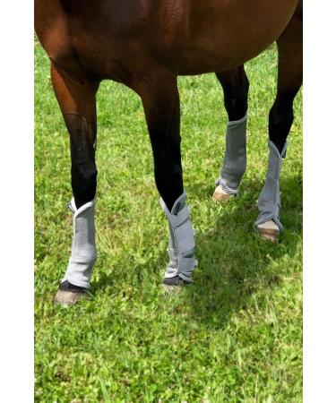 Harrison Howard Horse Fly Boots Four Leg Guards Ruby - Set of 4 Full Size Silver - Buy Online on GoSupps.com