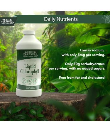 Buried Treasure Liquid Chlorophyll 100 mg, Dietary Supplement, Intestinal Digestive Support Natural Body Deodorant Vegan Non-GMO Alcohol Free, Spearmint Flavor 32oz - Buy Online on GoSupps.com