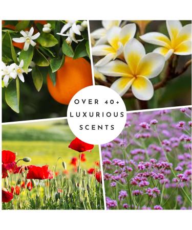 Durance Les Eternelles Sparkling Verbena Dry Oil For Hair & Body (100ml) With Almond & Apricot Oils | Nourishes And Enhances Skin And Hair Roots - Buy Online on GoSupps.com