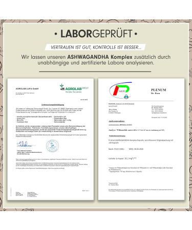 Ashwagandha Capsules 600mg - High Dose 360x KSM-66 with Magnesium Zinc & Vitamin B6 - 100% Vegan Lab-Tested No Additives - 3x120 Capsules - Buy Online on GoSupps.com