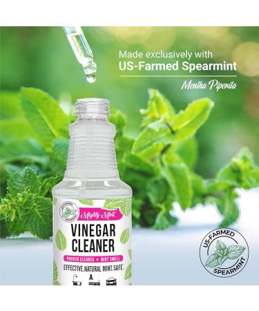 Mighty Mint Vinegar Cleaner | Non-Toxic All-Purpose Spray | Natural Spearmint Scent | 16oz - Eco-Friendly & Effective - Buy Online on GoSupps.com