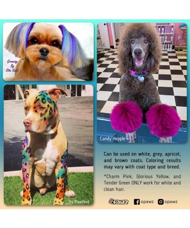 Opawz Permanent Pet Hair Color - Safe Dye for Dogs & Horses Lasts 20+ Washes Bright Innocent Blue - Buy Online on GoSupps.com