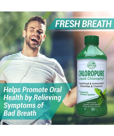 Country Farms Chloropure Liquid Chlorophyll Mint - 16 fl oz | Refreshing Green Wellness Boost - Buy Online on GoSupps.com