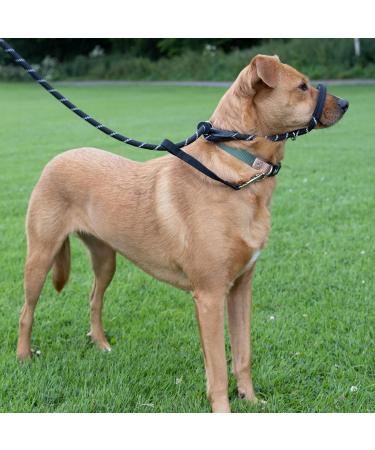 Total Pet Anti-Pull Figure 8 Dog Lead with Padded Nose Support - Medium/Large Black - Buy Online on GoSupps.com