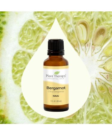 Buy 100% Pure Bergamot Essential Oil - Natural & Therapeutic Grade 30 mL - Plant Therapy - Fast International Shipping - Buy Online on GoSupps.com