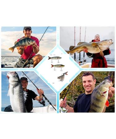 Premium Wobbler Set for Jerkbait Fishing | Trout & Pike Perch Bait with Hooks & Box (13.3cm) - International Shipping Available - Buy Online on GoSupps.com