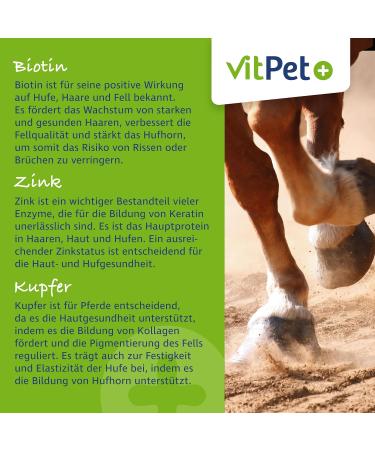 Vitpet+ Huf Probio - Special Mineral Feed for Horses with Biotin & Zinc - 4kg for Healthy Hoof Growth Includes Dosing Spoon - Buy Online on GoSupps.com