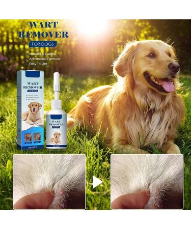  1/2/3/4/5Pcs Natural Dog Wart Removal Treatment | Dog Wart Remover | Dog Skin Tags with no Harm and Irritation | Effective Painless Wart Removal Treatment | Treatment for Dog Warts | 20ml (3Count (Pack of 3)) - Buy Online on GoSupps.com