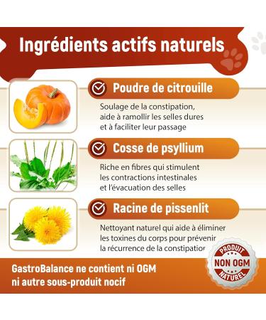 GastroBalance Constipation Relief for Dogs - 60 Laxative Dog Stool Softeners - Bacon Flavor (French) - Buy Online on GoSupps.com