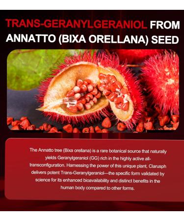 Energy Supplement Geranylgeraniol GG 300mg Trans-Geranylgeraniol Supplement with Vitamin E for CoQ10 Annatto-Derived GG - Energy Supplements for Men 60 Softgels 60 Count (Pack of 1) - Buy Online on GoSupps.com