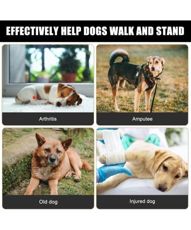 Premium Dog Harness for Hedge Aid | Comfortable & Secure International Shipping - Buy Online on GoSupps.com