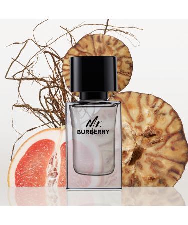 Burberry Mr. Burberry Eau de Toilette Woody Men's Cologne With Notes of Grapefruit Cardamom Vetivier & Guaiac Wood Long Lasting Fragrance 1.6 Ounce (Pack of 1) - Buy Online on GoSupps.com
