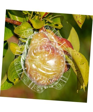KONTONTY Fruit Shaper Vegetable Shaped Growth Fruitful to Play with Vegetable Fruit Shaping - Buy Online on GoSupps.com