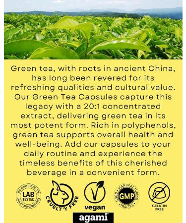 Agami Green Tea Capsules | 4 Month Supply | Energy & Metabolism Support | 7500mg Strength | 20:1 Extract - 120 Capsules - Buy Online on GoSupps.com