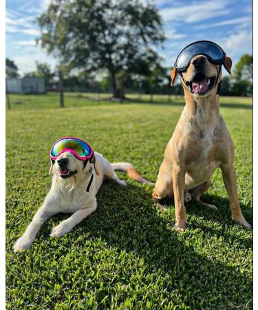 Large & Medium Breed Dog Goggles | UV Protection, Windproof & Dustproof | Shatterproof Lens | Breathable Design | Black Dog Sunglasses - Buy Online on GoSupps.com